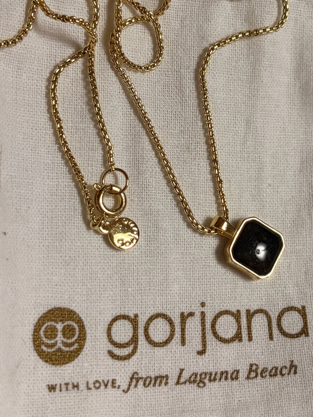 Gorjana Gold Necklace with Black Hexagonal Pendant